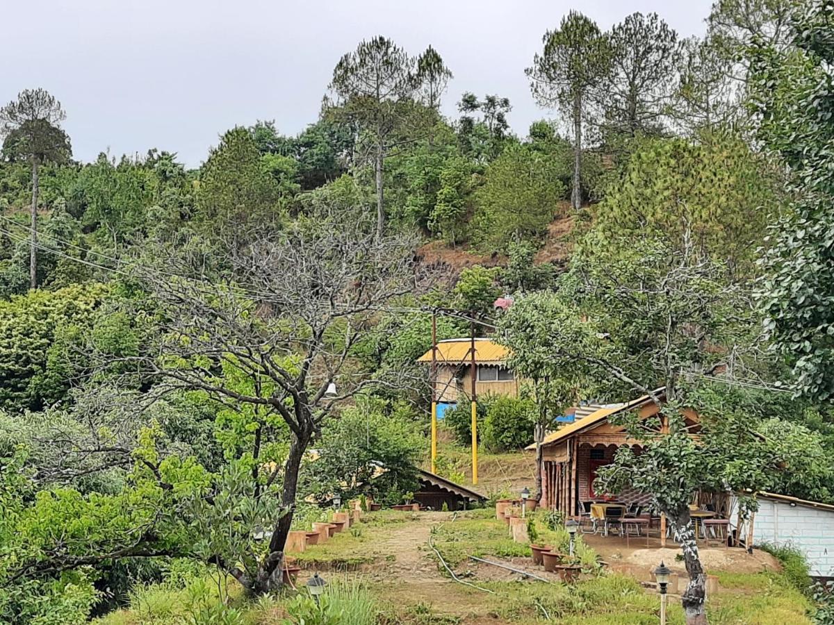 Mukteshwar Grand Retreat Εξωτερικό φωτογραφία